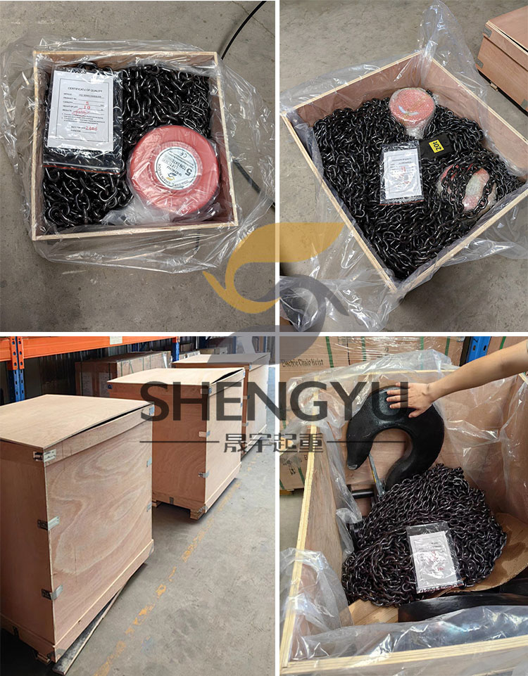 Heavy-Duty Manual Chain Block