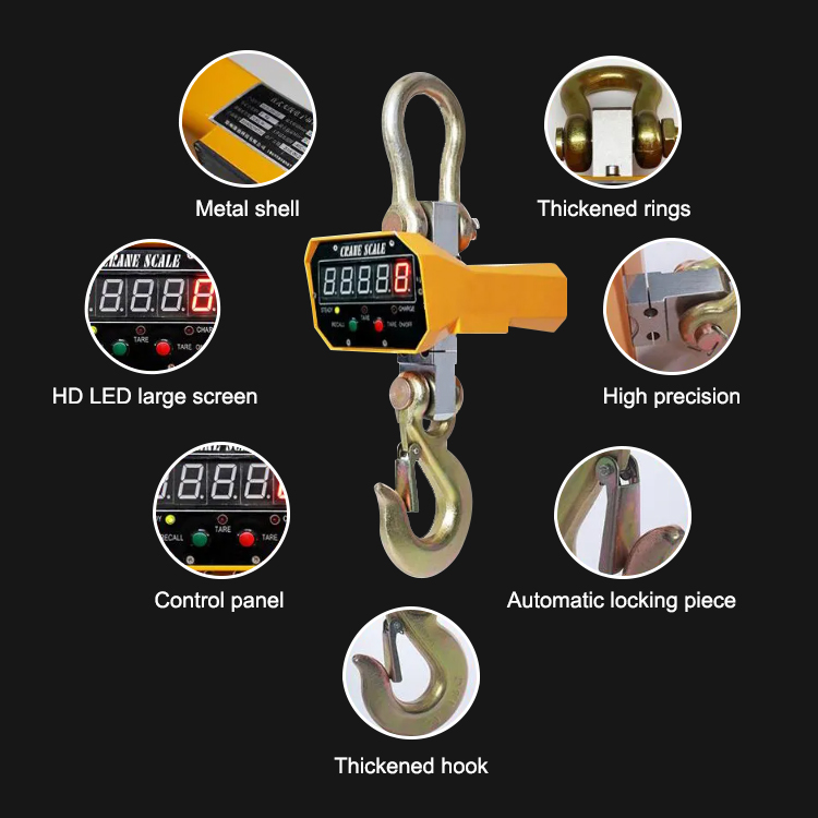 Electronic Crane Scale