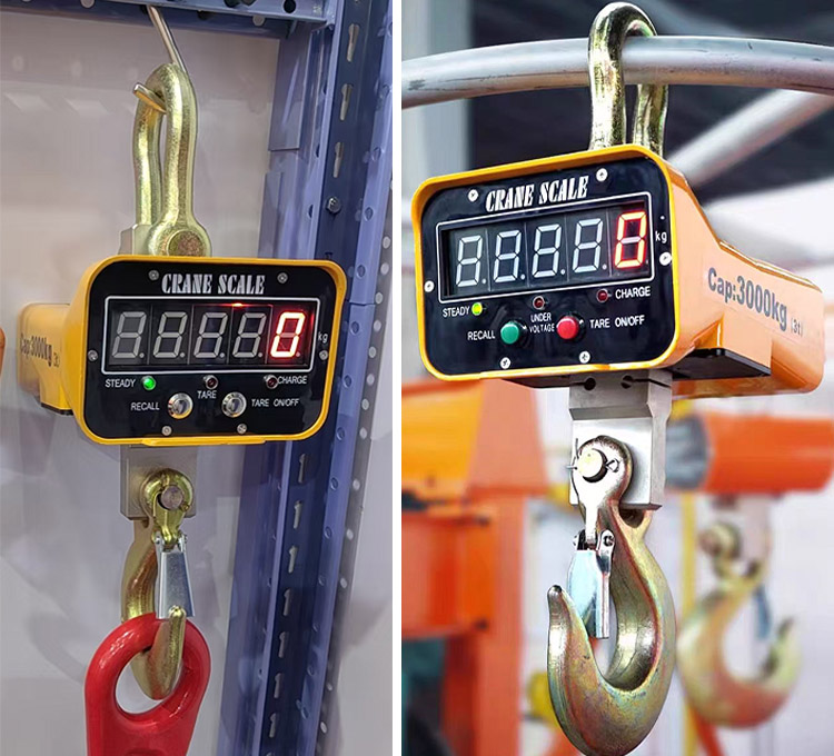 Electronic Crane Scale