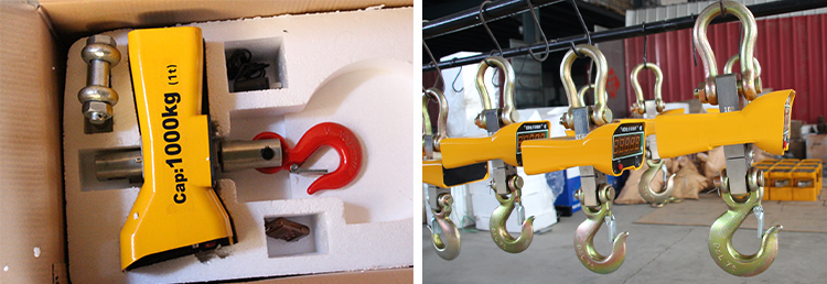 Electronic Crane Scale